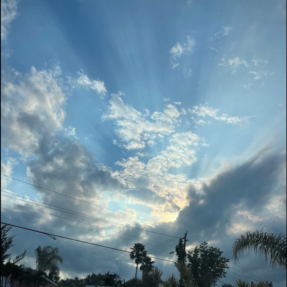 Meet your Posher, Ella